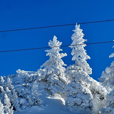 "Die Bergerin" | Appartements Schladming Ngoại thất bức ảnh