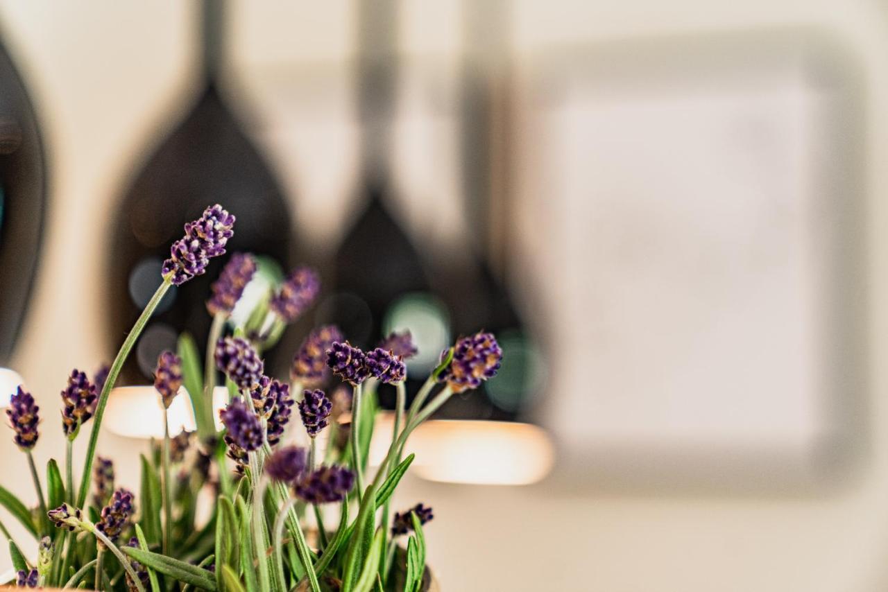 "Die Bergerin" | Appartements Schladming Ngoại thất bức ảnh